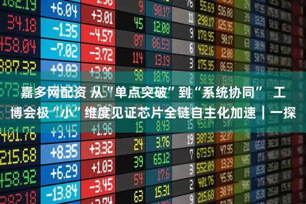 嘉多网配资 从“单点突破”到“系统协同”  工博会极“小”维度见证芯片全链自主化加速︱一探