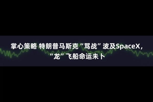 掌心策略 特朗普马斯克“骂战”波及SpaceX，“龙”飞船命运未卜